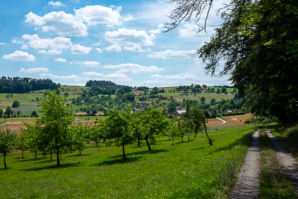 Neckarkatzenbach