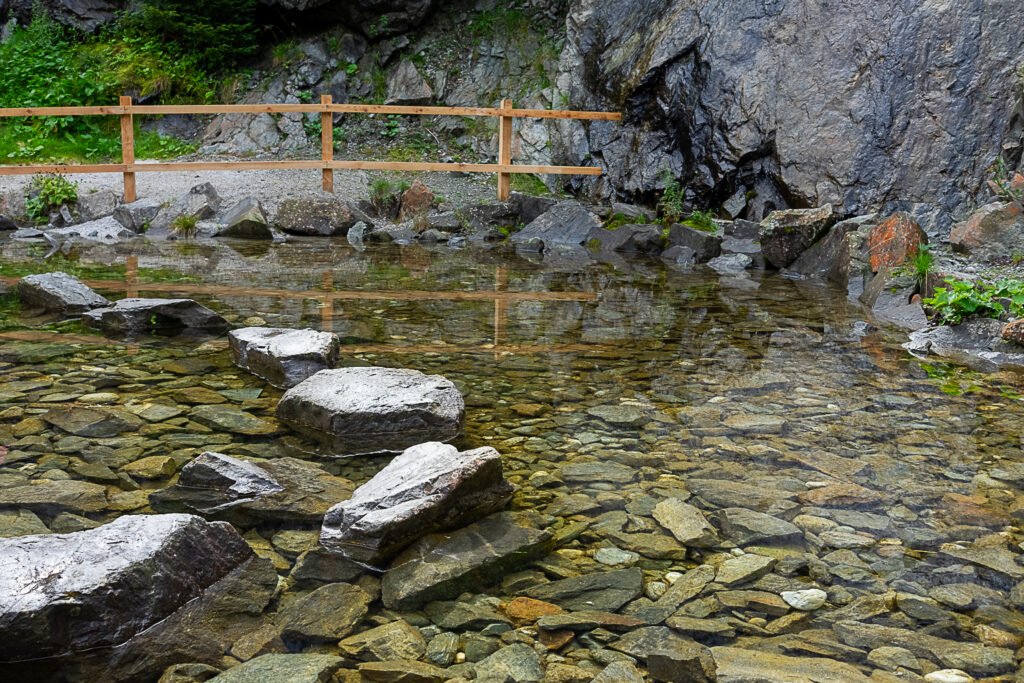 Das Biotop in der Wilde Wasser Arena