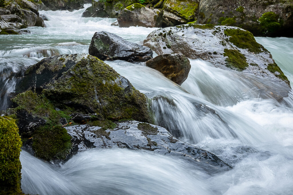 Wilde Wasser