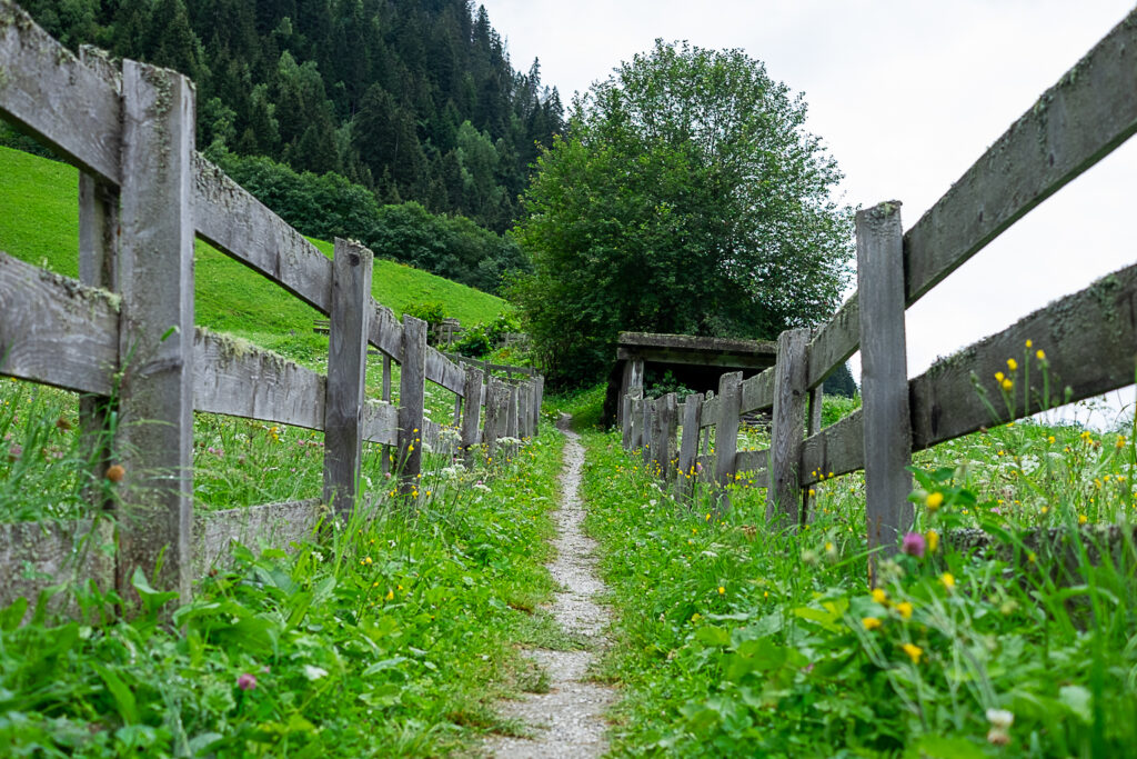 Auf dem Weg