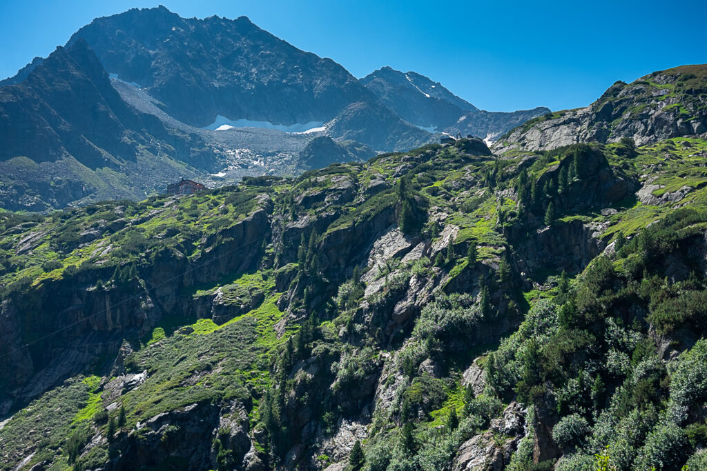 Hoch zur Sulzenauhütte