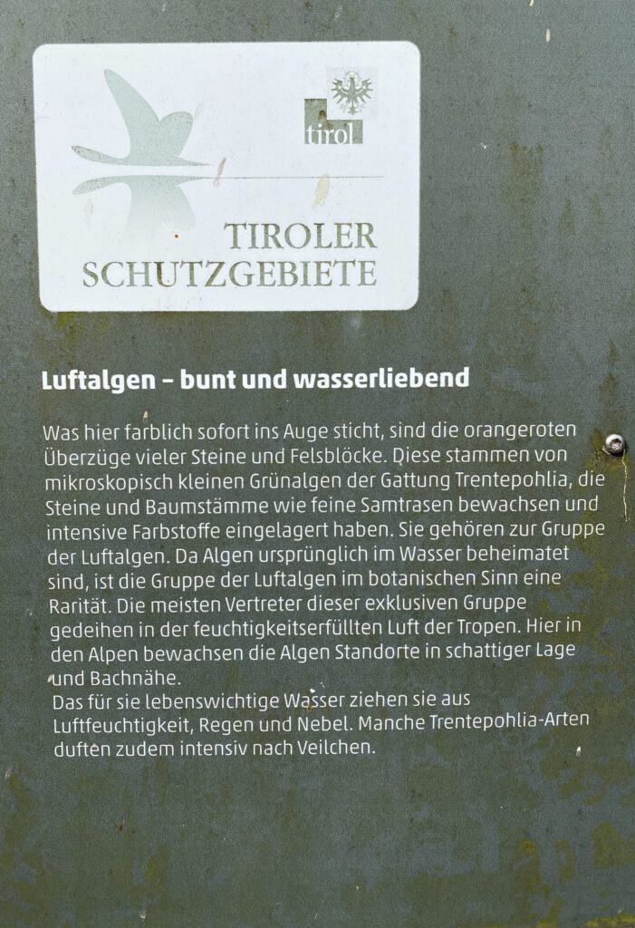 Luftalgen Text